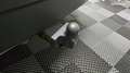 Jeep Renegade 1.6 MULTIJET 120 LIMITED 2WD BVA START-STOP Rouge - thumbnail 18