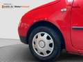Volkswagen Lupo /Ganzjahresreifen/Servo Rojo - thumbnail 17