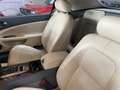 Jaguar XK8 XK8 Cabrio - thumbnail 15
