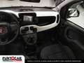 Fiat Panda 1.0 FireFly S&S Hybrid Pandina PROMO FLEX Verde - thumbnail 11