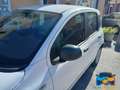 Fiat Panda 1.3 MJT 80 CV Easy Blanc - thumbnail 31