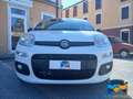 Fiat Panda 1.3 MJT 80 CV Easy Blanc - thumbnail 16