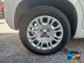 Fiat Panda 1.3 MJT 80 CV Easy Blanc - thumbnail 20