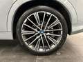 BMW iX2 xDrive30 M Sportpaket Head-Up Harman/Kardon DAB LE Grau - thumbnail 6