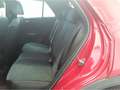 Volkswagen T-Roc 1.5 TSI DSG R-Line AHK/Kamera/Navi Rot - thumbnail 6