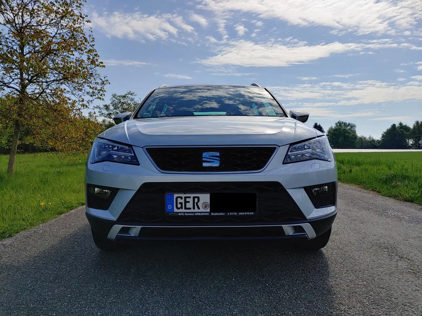 SEAT Ateca Ateca Diesel 2.0 TDI 4Drive XCELLENCE AHK Standhz. Argent - 2