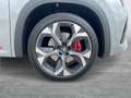 Skoda Kodiaq RS 4x4 TSI DSG Grau - thumbnail 7