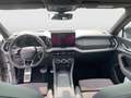 Skoda Kodiaq RS 4x4 TSI DSG Grau - thumbnail 11