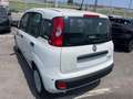 Fiat Panda Panda III 2024 1.0 firefly hybrid s Bianco - thumbnail 6