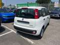 Fiat Panda Panda III 2024 1.0 firefly hybrid s Bianco - thumbnail 7