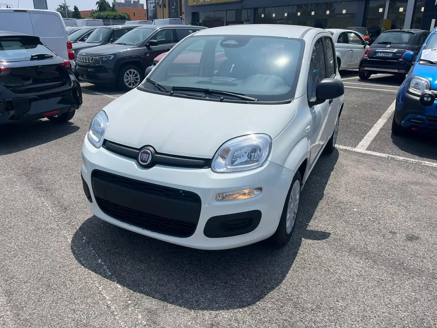 Fiat Panda Panda III 2024 1.0 firefly hybrid s Bianco - 1