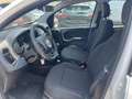 Fiat Panda Panda III 2024 1.0 firefly hybrid s Bianco - thumbnail 13