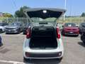 Fiat Panda Panda III 2024 1.0 firefly hybrid s Bianco - thumbnail 9