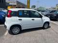 Fiat Panda Panda III 2024 1.0 firefly hybrid s Bianco - thumbnail 5