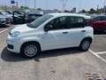 Fiat Panda Panda III 2024 1.0 firefly hybrid s Bianco - thumbnail 4