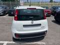 Fiat Panda Panda III 2024 1.0 firefly hybrid s Bianco - thumbnail 8