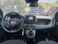 Fiat Panda Panda III 2024 1.0 firefly hybrid s Wit - thumbnail 17