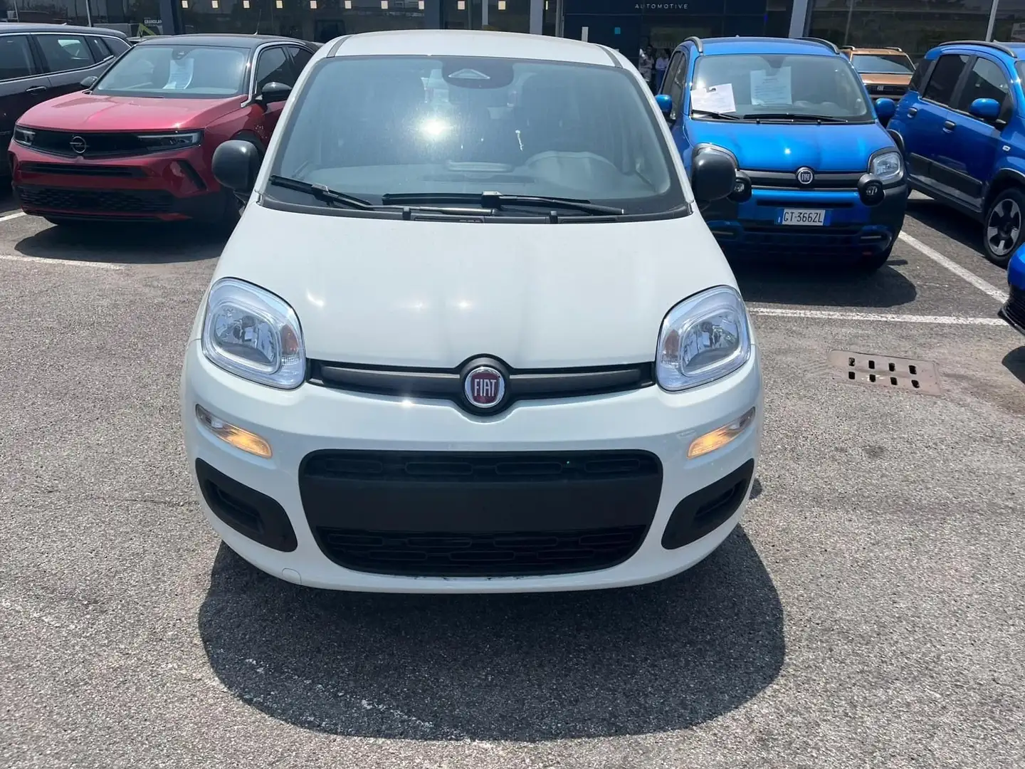 Fiat Panda Panda III 2024 1.0 firefly hybrid s Bianco - 2