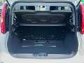 Fiat Panda Panda III 2024 1.0 firefly hybrid s Bianco - thumbnail 10