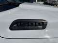 Dodge RAM 1500 Gen.5 CrewCab BackCountry Pano U-frei Blanco - thumbnail 22