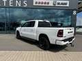 Dodge RAM 1500 Gen.5 CrewCab BackCountry Pano U-frei Alb - thumbnail 4