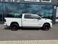 Dodge RAM 1500 Gen.5 CrewCab BackCountry Pano U-frei Alb - thumbnail 6