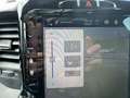 Dodge RAM 1500 Gen.5 CrewCab BackCountry Pano U-frei Blanco - thumbnail 31