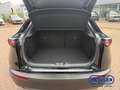 Mazda CX-30 Homura 2WD 2.5 e-SKYACTIV-G 140 M Hybrid EU6e HUD Nero - thumbnail 12