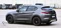 Alfa Romeo Stelvio Stelvio 2020 2.2 t Business rwd 160cv auto Grigio - thumbnail 4