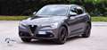 Alfa Romeo Stelvio Stelvio 2020 2.2 t Business rwd 160cv auto Grigio - thumbnail 2