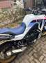 Honda XL 750 Transalp inc top en zijkoffers Wit - thumbnail 7