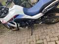 Honda XL 750 Transalp inc top en zijkoffers Wit - thumbnail 4