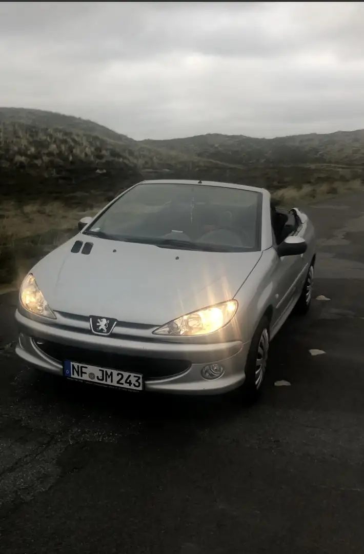 Peugeot 206 CC 110 Tendance - 2