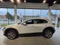 Mazda CX-30 e-Skyactive G140 Centre-Line Aut. AUTO STAHL WI... Weiß - thumbnail 3