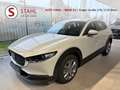 Mazda CX-30 e-Skyactive G140 Centre-Line Aut. AUTO STAHL WI... Weiß - thumbnail 1
