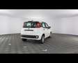 Fiat Panda 1.0 FireFly Hybrid Bianco - thumbnail 11