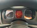 Fiat Panda Panda Cross 1.0 FireFly S&S Hybrid Bianco - thumbnail 11