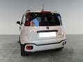 Fiat Panda Panda Cross 1.0 FireFly S&S Hybrid Bianco - thumbnail 5