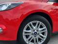 Ford Focus Fließheck 1.0 EcoBoost Start-Stopp-System Trend Rouge - thumbnail 9