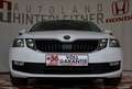 Skoda Octavia TDI Limited NAVI WINTERPAKET Blanc - thumbnail 4