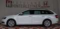 Skoda Octavia TDI Limited NAVI WINTERPAKET Blanc - thumbnail 8