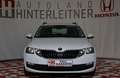 Skoda Octavia TDI Limited NAVI WINTERPAKET Blanc - thumbnail 5