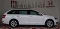 Skoda Octavia TDI Limited NAVI WINTERPAKET Blanc - thumbnail 7