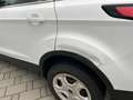 Ford Kuga Trend Klima SHZ Lenkradheizung Weiß - thumbnail 5