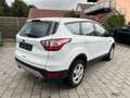 Ford Kuga Trend Klima SHZ Lenkradheizung Weiß - thumbnail 3