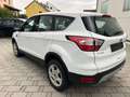 Ford Kuga Trend Klima SHZ Lenkradheizung Weiß - thumbnail 4