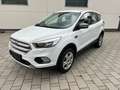 Ford Kuga Trend Klima SHZ Lenkradheizung Weiß - thumbnail 1