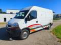 Renault Master Robuster 2,5L Motor Weiß - thumbnail 1