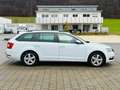 Skoda Octavia Combi Ambition DSG AHK SHZ Tüv/Au 11.27 Weiß - thumbnail 7