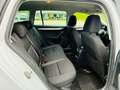 Skoda Octavia Combi Ambition DSG AHK SHZ Tüv/Au 11.27 Weiß - thumbnail 11